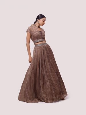 Buy stunning brown embroidered organza skirt set online in USA. Dazzle on weddings and special occasions with exquisite designer lehengas, Anarkali suit, sharara suit, Indowestern outfits, bridal lehengas from Pure Elegance Indian clothing store in the USA. -side