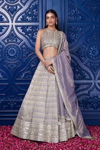 Buy mauve embroidered tissue lehenga online in USA with dupatta. Shop the best and latest designs in embroidered sarees, designer sarees, Anarkali suit, lehengas, sharara suits for weddings and special occasions from Pure Elegance Indian fashion store in USA.-full view