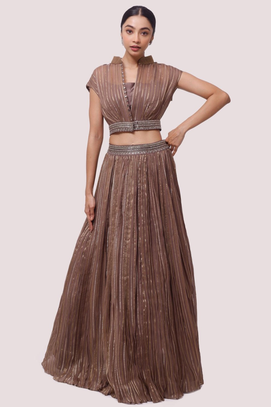 Buy stunning brown embroidered organza skirt set online in USA. Dazzle on weddings and special occasions with exquisite designer lehengas, Anarkali suit, sharara suit, Indowestern outfits, bridal lehengas from Pure Elegance Indian clothing store in the USA. -full view