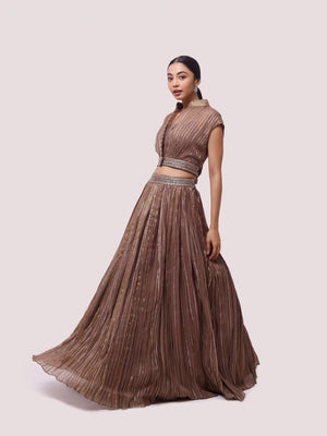 Buy stunning brown embroidered organza skirt set online in USA. Dazzle on weddings and special occasions with exquisite designer lehengas, Anarkali suit, sharara suit, Indowestern outfits, bridal lehengas from Pure Elegance Indian clothing store in the USA. -skirt
