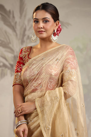 Shop golden tissue silk sari online in USA with red embroidered blouse. Make a fashion statement on festive occasions and weddings with designer suits, Indian dresses, Anarkali suits, palazzo suits, designer sarees, sharara suits, Bollywood saris from Pure Elegance Indian fashion store in USA.-closeup