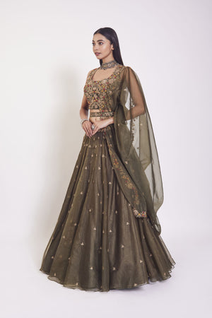 30Z108-RO Olive Green organza Lehenga with dupatta