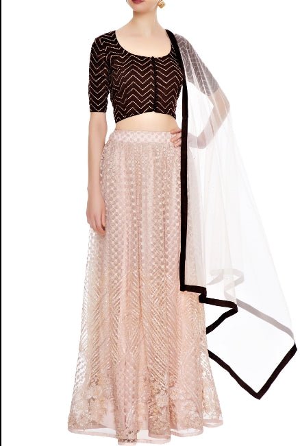 Buy baby pink net lehenga online in USA with coffee color blouse. Give a touch of elegance to your style with an exclusive range of Indian dresses, designer lehengas from Pure Elegance Indian fashion store in USA or shop online.-full view