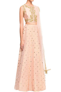 Buy pink raw silk crop top with net skirt online in USA with net dupatta. Bring a rich traditional touch to your ethnic look with beautiful Indian designer lehengas from Pure Elegance clothing store. We have a range of wedding lehengas, designer sarees, bridal saris in USA online and in our store. Shop now. -full view