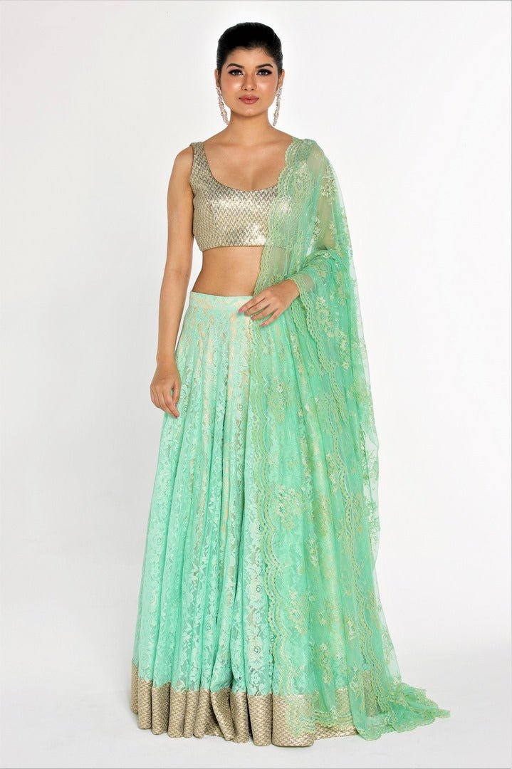 Buy gorgeous pista green lace lehenga online in USA with sequin border at Pure Elegance online store. Give yourself a brilliant makeover with a range of exquisite Indian designer sarees from our clothing store in USA. We also bring the best Indian dresses for brides in USA under one roof. Shop now.-full view