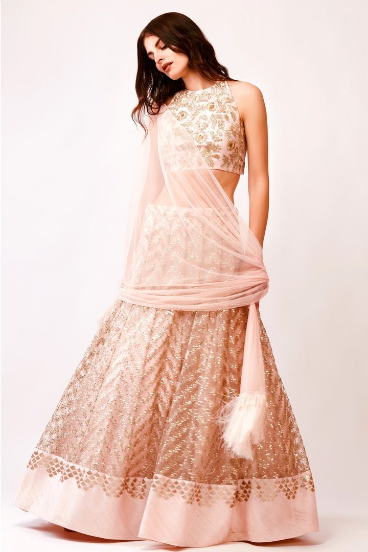 Shop peach net embroidered lehenga with raw silk zardozi blouse online in USA and dupatta. You can find a fine collection of Indian designer suits in USA at Pure Elegance clothing store. Our range of traditional Indian clothing, designer silk sarees, wedding sarees, wedding dresses is sure to leave you awestruck. -full view