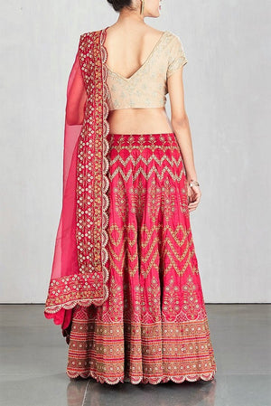 Shop beige and pink embroidered lehenga choli with dupatta online in USA. Make a captivating fashion statement with a range of Indian designer dresses from Pure Elegance clothing store in USA. If you are looking for online shopping, then look to our online store for a stunning collection of designer lehengas, Indian clothing and much more.-back