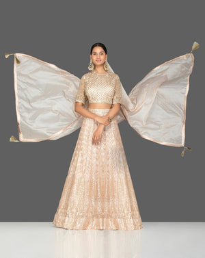 Shop beautiful cream embroidered net lehenga online in USA with dupatta. Gear up for the festive season with exquisite designer lehengas, Anarkali suits. Indian dresses from Pure Elegance Indian fashion store in USA. Shop online now.-front