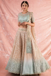  Blue/Pink Embroidered Organza Lengha With Blouse And Duppatta Online in USA-full view