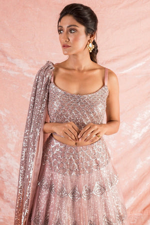 Grey/Pink Embroidered Organza Lengha With Blouse  Online in USA-close up