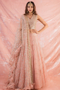 Pink Embroidered Organza Lengha With Blouse Online in USA-full view