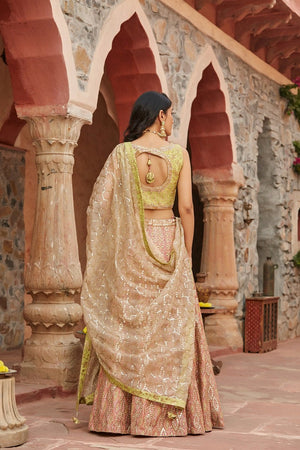 Shop stunning peach and green embroidered organza lehenga online in USA with dupatta. Elevate your ethnic style with a tasteful collection of designer Anarkali, designer salwar suits, designer lehengas, sharara suits from Pure Elegance Indian clothing store in USA.-back