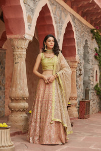 Shop stunning peach and green embroidered organza lehenga online in USA with dupatta. Elevate your ethnic style with a tasteful collection of designer Anarkali, designer salwar suits, designer lehengas, sharara suits from Pure Elegance Indian clothing store in USA.-full view