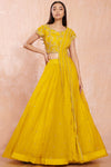 Buy stunning yellow designer net lehenga online in USA with silver floral embroidery.  Make a fashion statement on festive occasions and weddings with designer suits, Indian dresses, Anarkali suits, palazzo suits, designer gowns, sharara suits from Pure Elegance Indian fashion store in USA.-full view