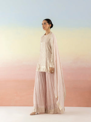 Shop beautiful powder pink sequin embellished sharara suit online in USA with dupatta. Make a fashion statement on festive occasions and weddings with designer suits, Indian dresses, Anarkali suits, palazzo suits, designer gowns, sharara suits from Pure Elegance Indian fashion store in USA.-side