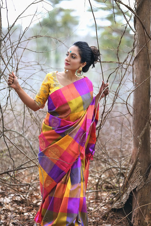 Shop multicolor check Kanjivaram sari online in USA with zari buta and zari pallu. Enhance your ethnic look with beautiful Indian designer sarees from Pure Elegance. Shop from a splendid collection of Banarasi sarees, traditional silk saris, Kanchipuram sarees from our exclusive Indian clothing store in USA.-side