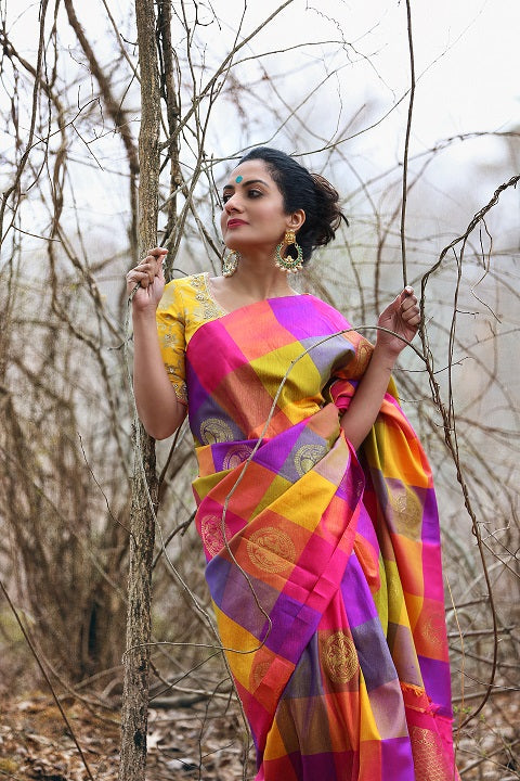 Shop multicolor check Kanjivaram sari online in USA with zari buta and zari pallu. Enhance your ethnic look with beautiful Indian designer sarees from Pure Elegance. Shop from a splendid collection of Banarasi sarees, traditional silk saris, Kanchipuram sarees from our exclusive Indian clothing store in USA.-side view