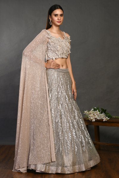 30Z141-RO Beige Net Lehenga with organza dupatta