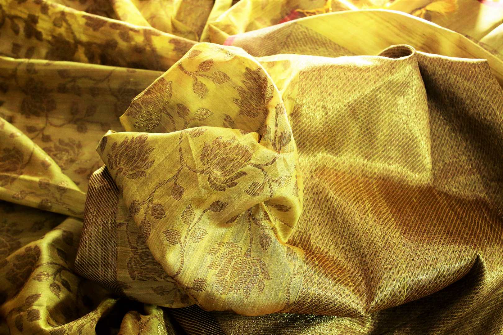 Yellow Muga Benarasi sari with golden border buy online in USA. Explore a range of exclusive Banarasi sarees in USA at Pure Elegance Indian clothing store.-details