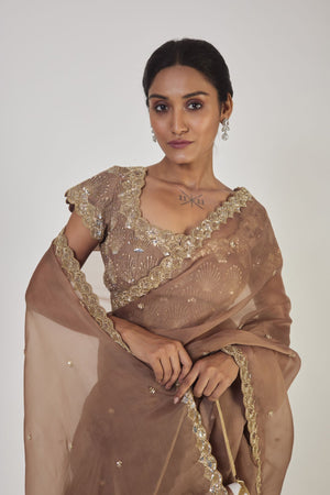 Buy beautiful light coffee brown sequin work organza saree online in USA with saree blouse. Make a fashion statement on festive occasions and weddings with designer sarees, designer suits, Indian dresses, Anarkali suits, palazzo suits, designer gowns, sharara suits, embroidered sarees from Pure Elegance Indian fashion store in USA.-closeup