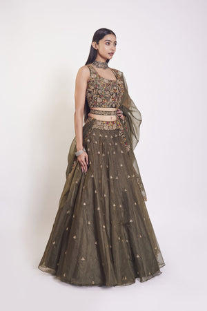 30Z108-RO Olive Green organza Lehenga with dupatta