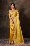 Buy beautiful mango yellow hand embroidered organza saree online in USA with blouse. Flaunt your Indian style on special occasions in beautiful designer sarees, embroidered sarees, Bollywood sarees, partywear sarees, wedding sarees from Pure Elegance Indian saree store in USA. -full view