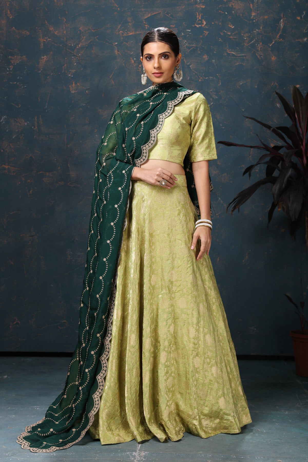 Buy beautiful pista green crepe Banarasi lehenga online in USA with dark green dupatta. Flaunt Indian style at parties and weddings in beautiful designer dresses, salwar suits, Anarkali suits, gowns, palazzo suits from Pure Elegance Indian fashion store in USA.-front